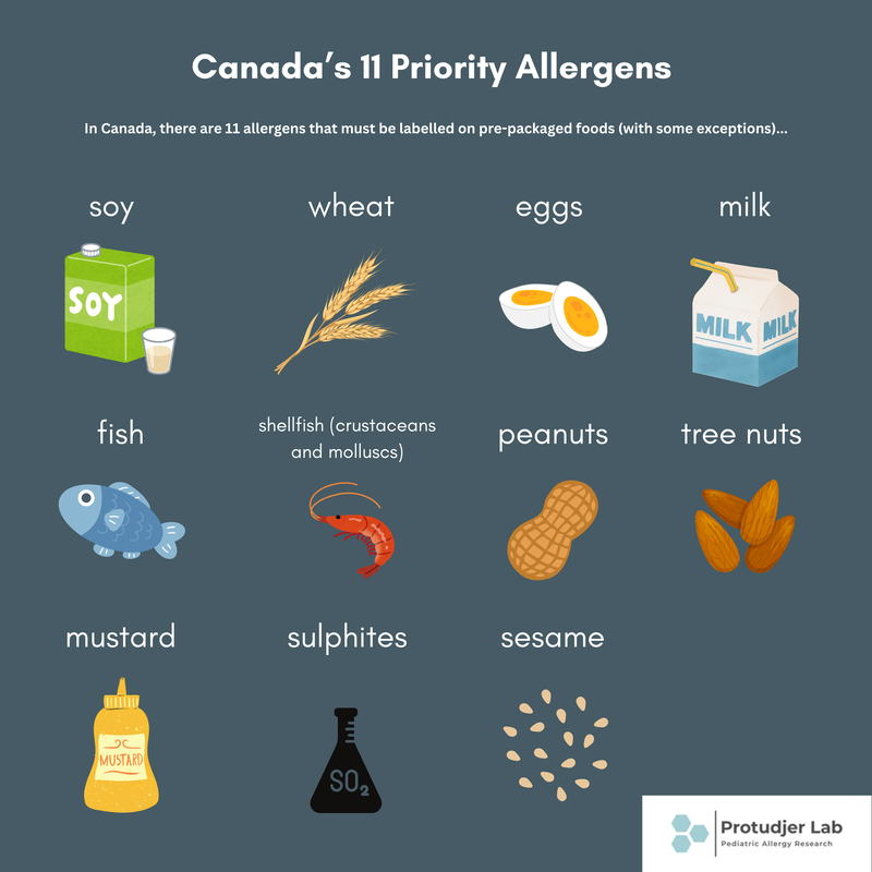 Canada's 11 Priority Allergens - Infographic