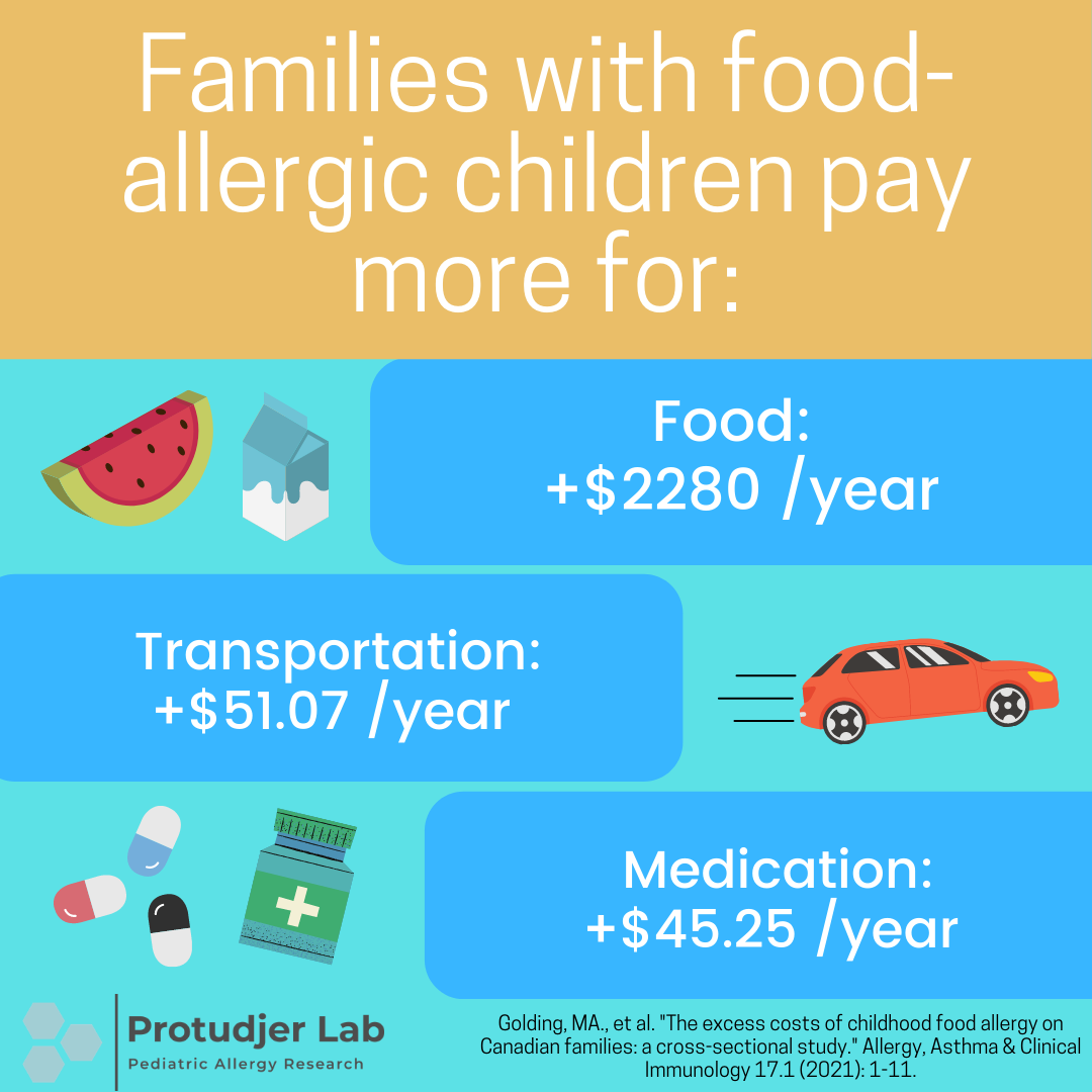 Families with food-allergic children - Infographic